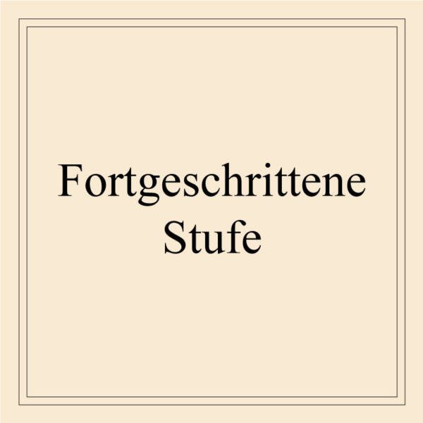 Fortgeschrittene Stufe